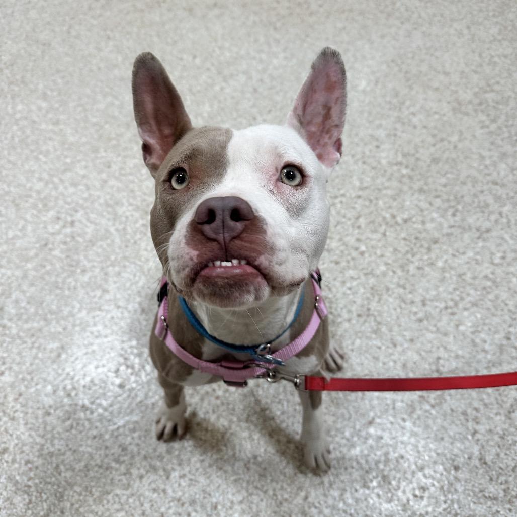 Babe — thumbnail 5