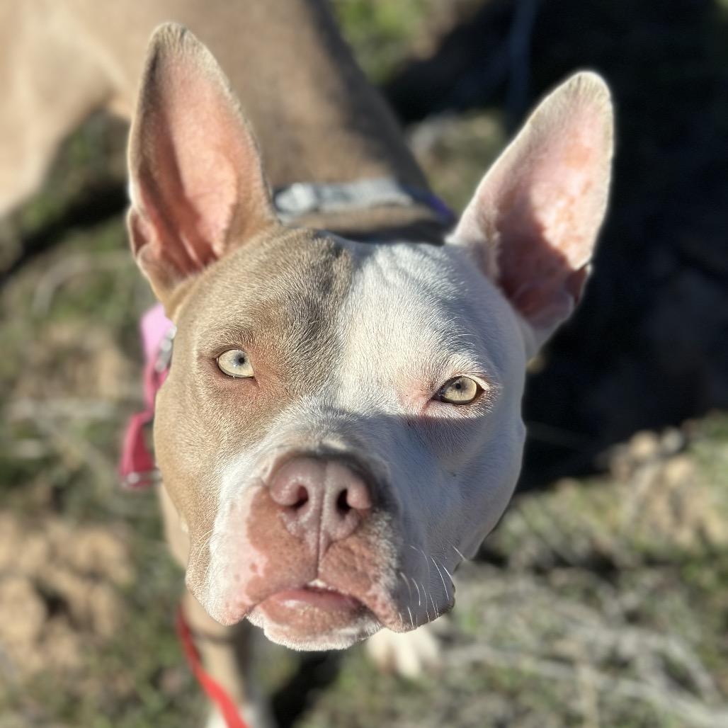 Babe — thumbnail 6