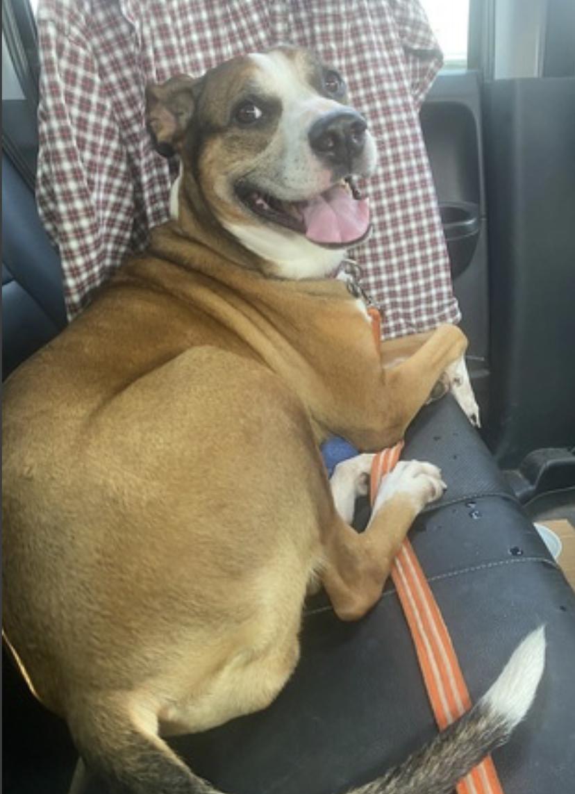 Augusta — thumbnail 5