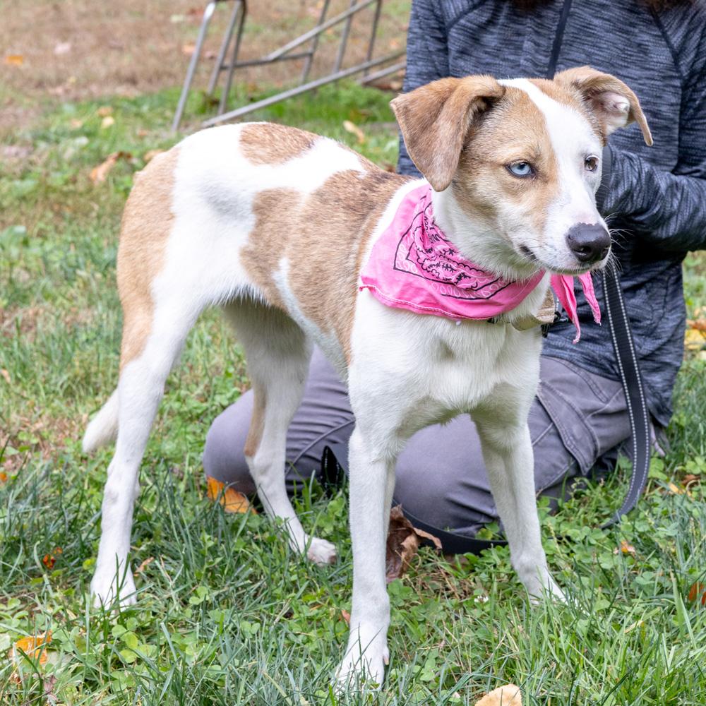 Flickeravail thumbnail 6