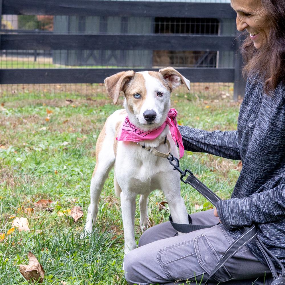 Flickeravail thumbnail 4