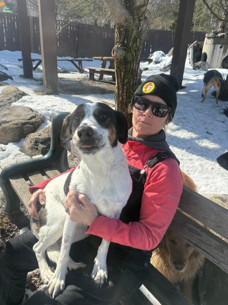 Enlarge Mira AKA Molly, a Adoptable mixed breed in Syracuse, NY image 3/6