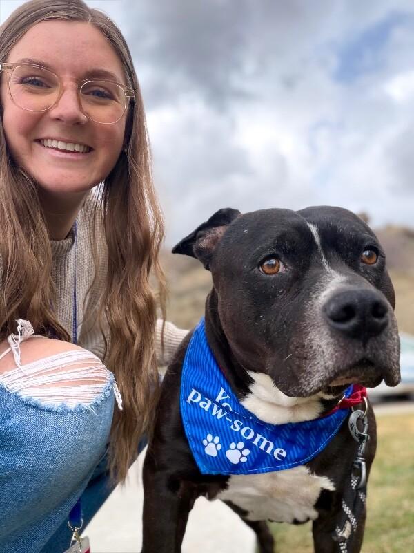 Enlarge Harley, a Adoptable Pit Bull Terrier in Fruit Heights, UT image 4/4