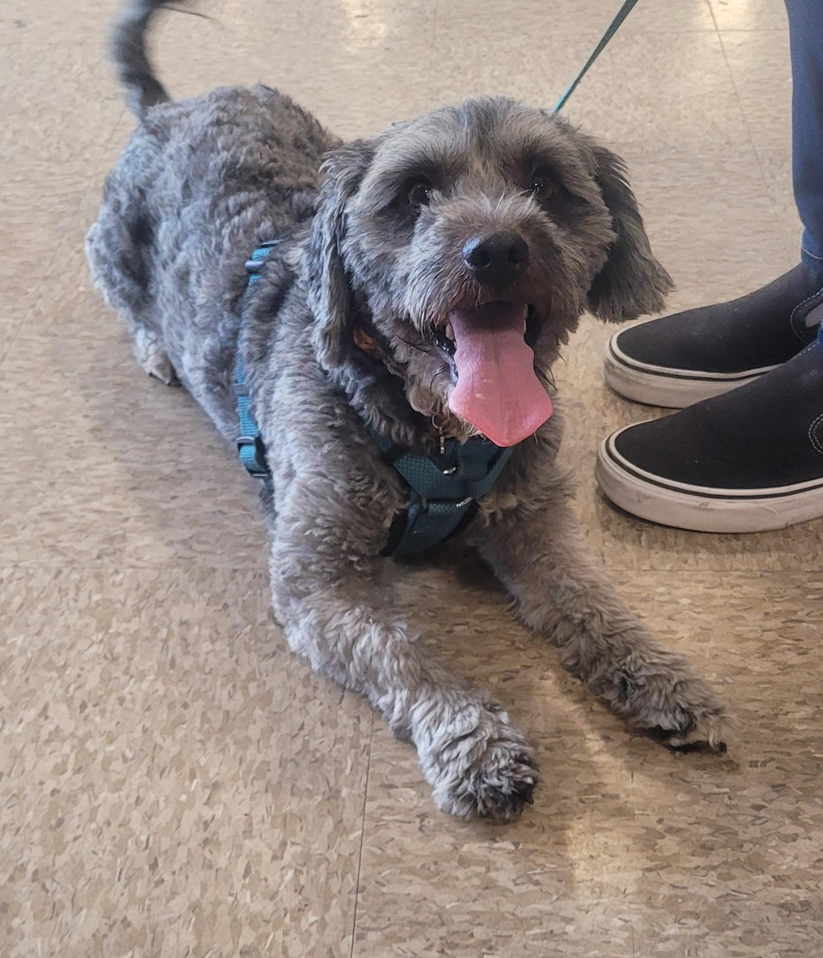 Cocoa Mocoa thumbnail 2