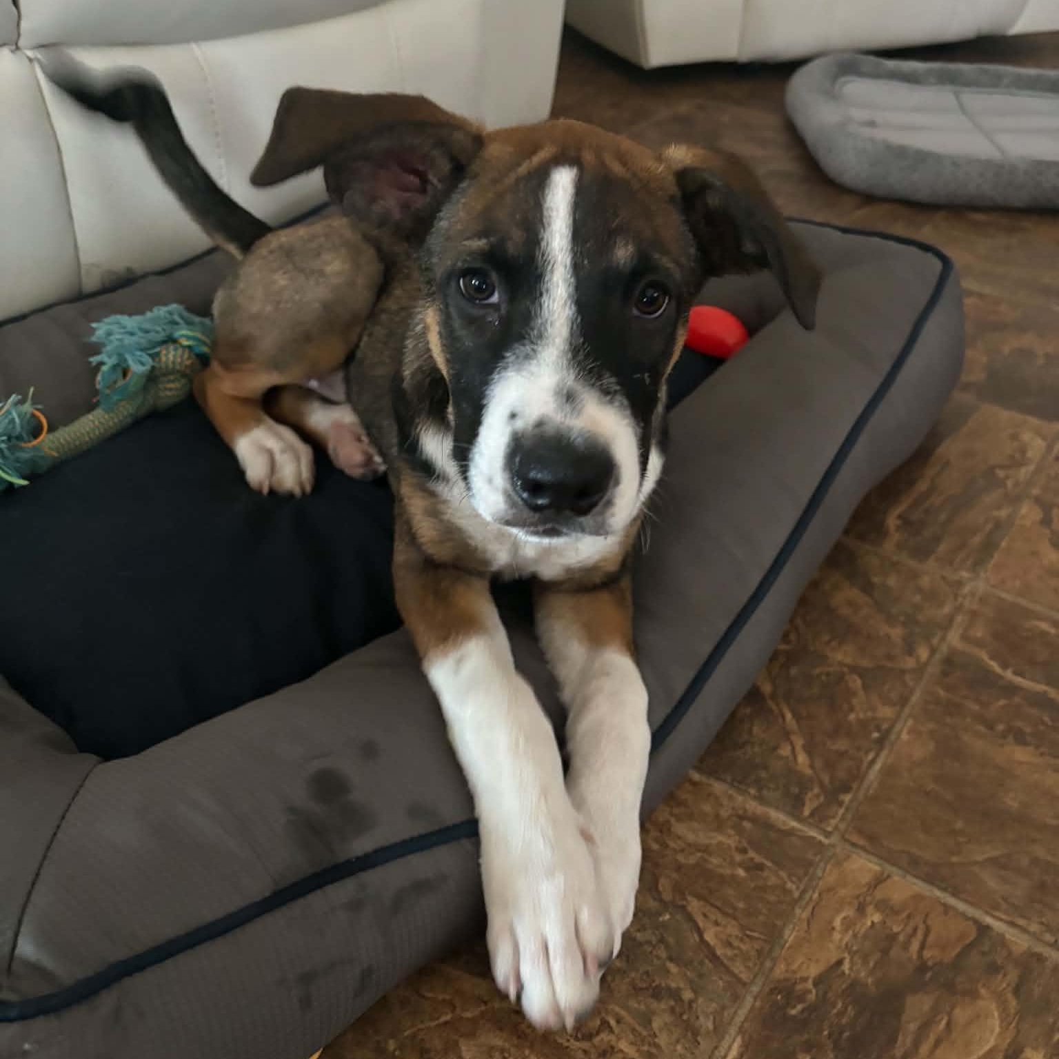 Buddy photo