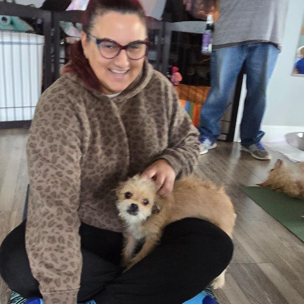 Hailey, a Adoptable Terrier in Loves Park, IL image 1/6