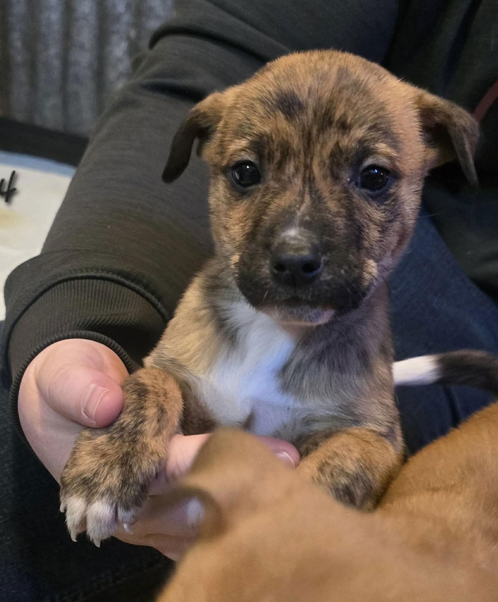 Roo-handsome boy! — thumbnail 2