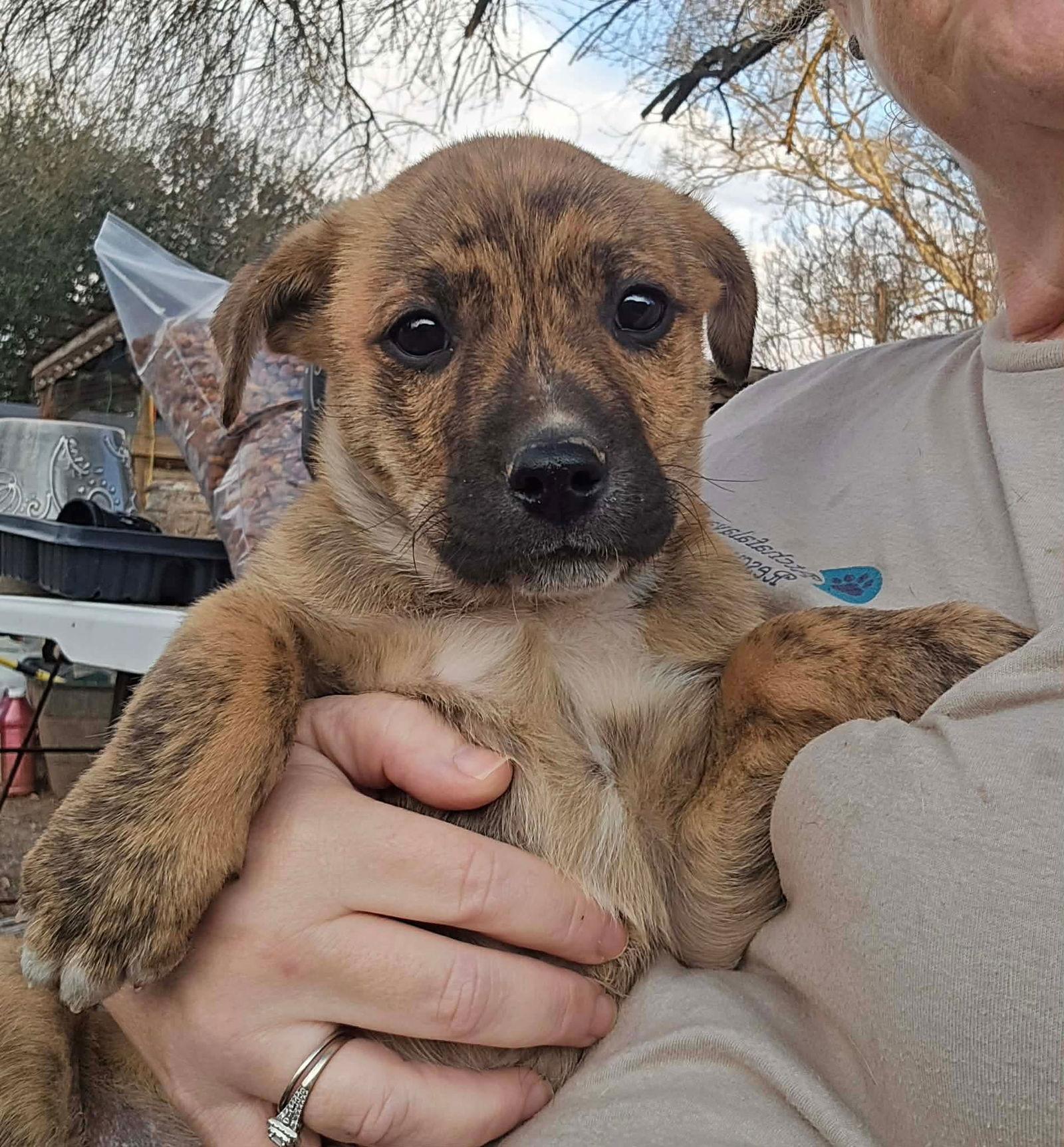 Roo-handsome boy! — thumbnail 3