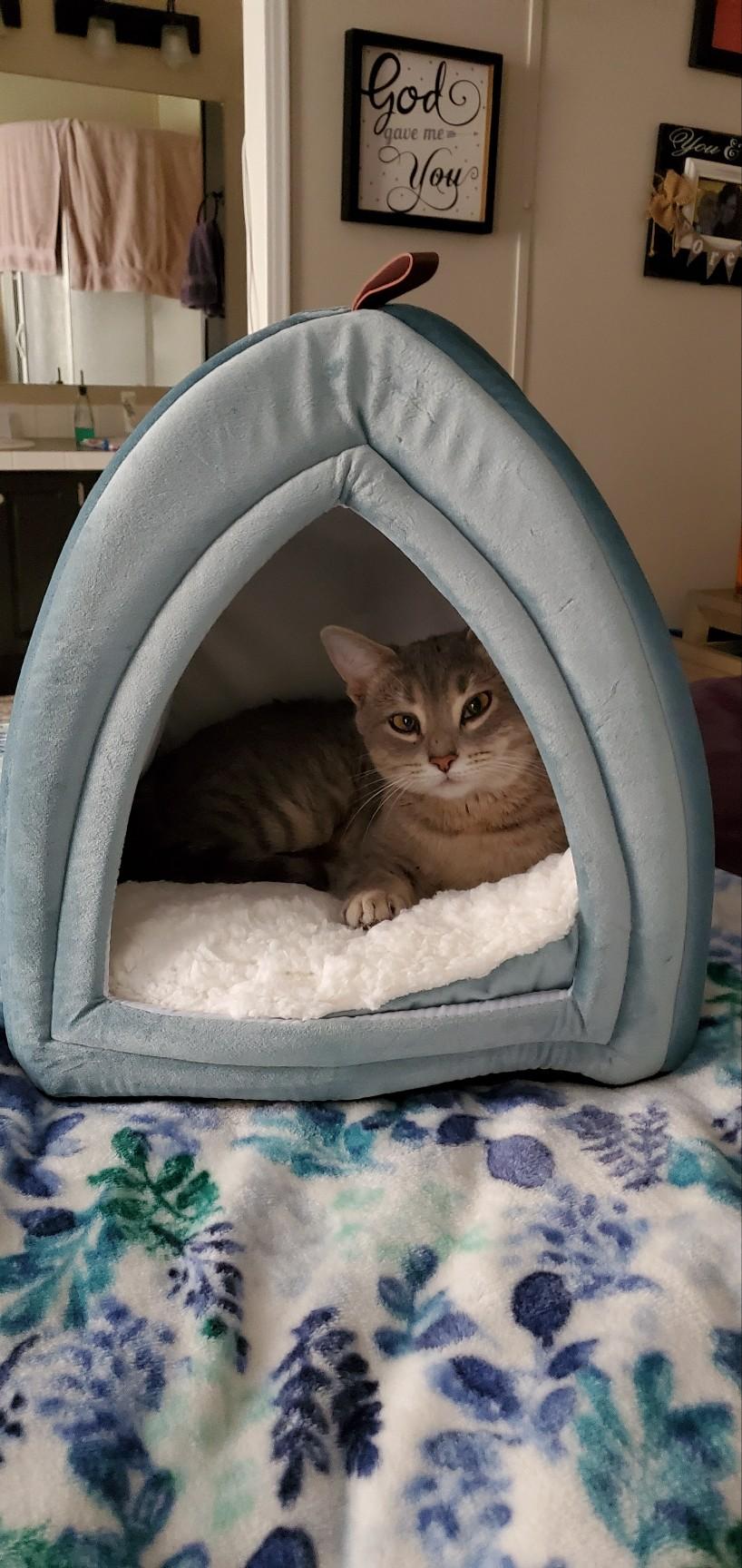 Lulu
