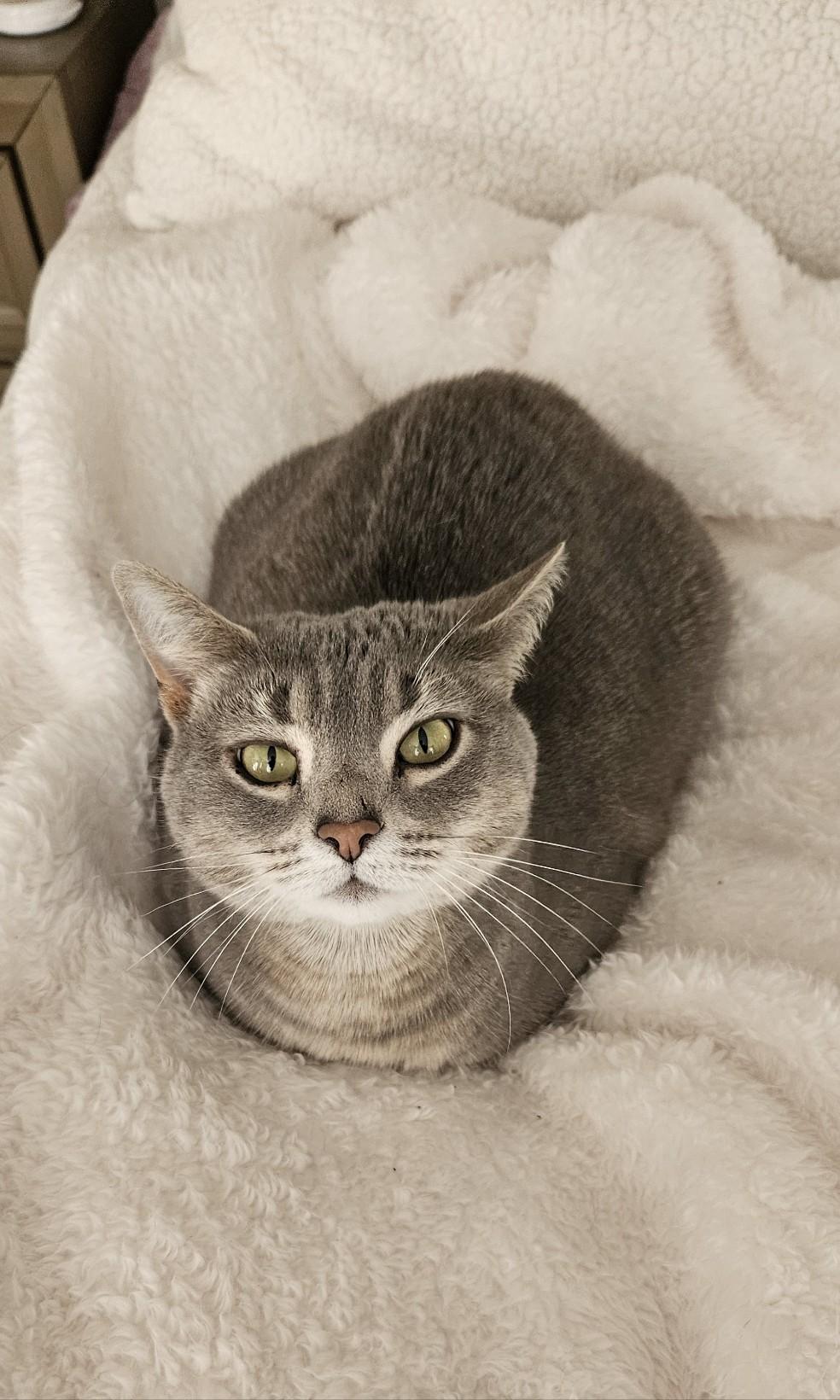 Lulu