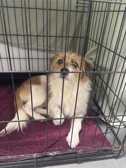 Roseman fka Happy Days