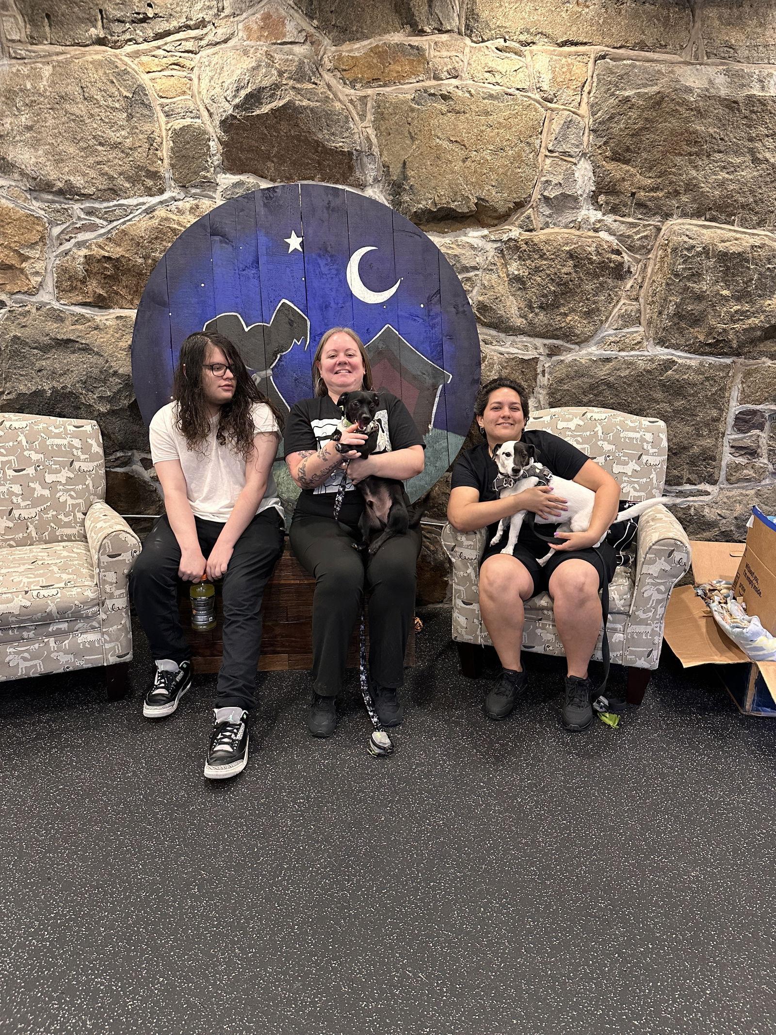 Enlarge Conley TX, a Adopted Chihuahua in Boonton, NJ image 1/3