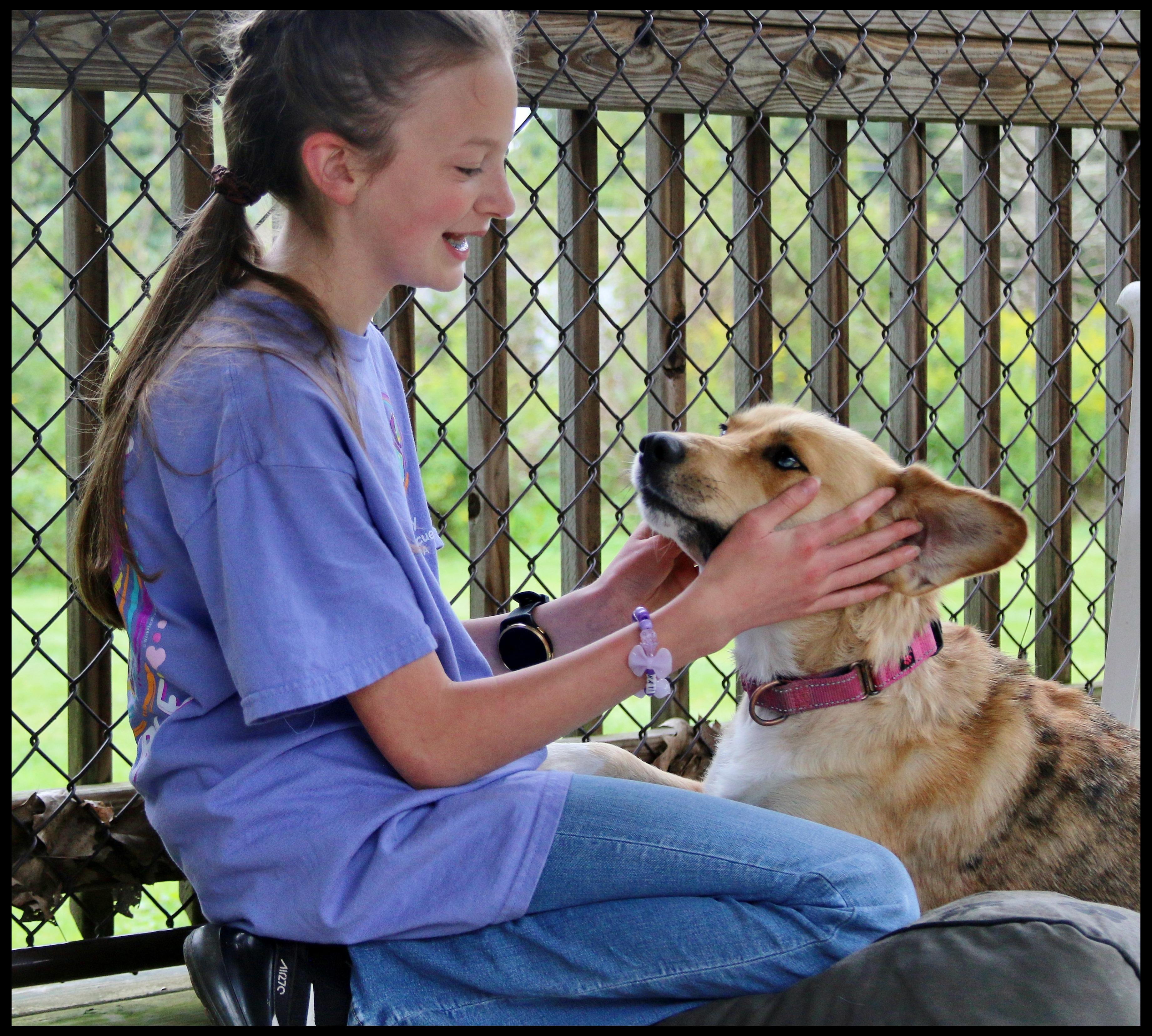 Enlarge Briar, a ADOPTABLE mixed breed in Shippenville, PA image 2/6