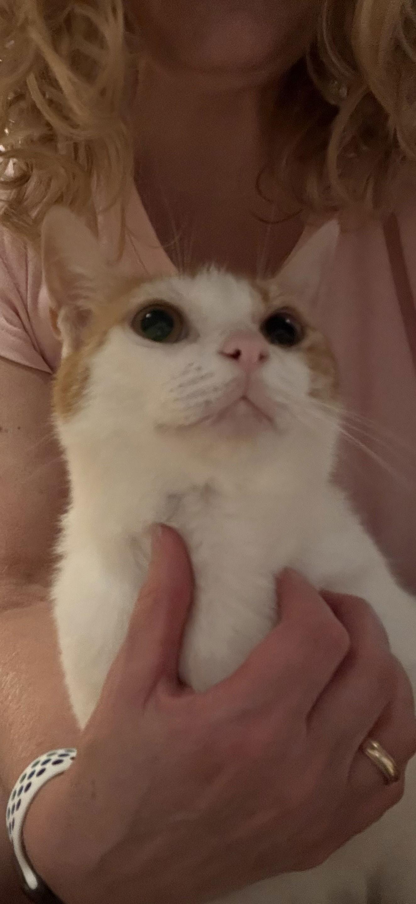 Cuttie Clutch Penelope thumbnail 2