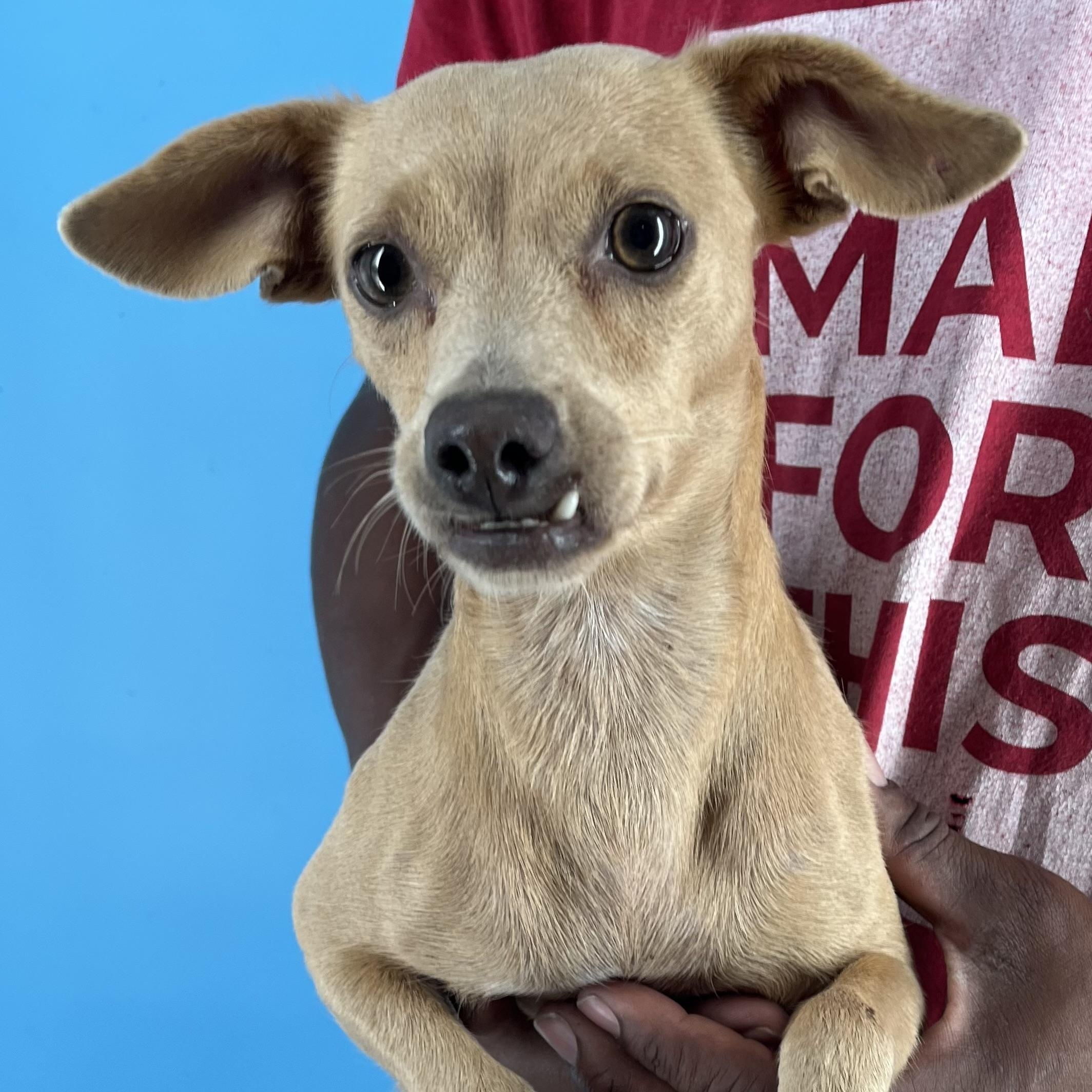 Paige - Local Sept 26-28