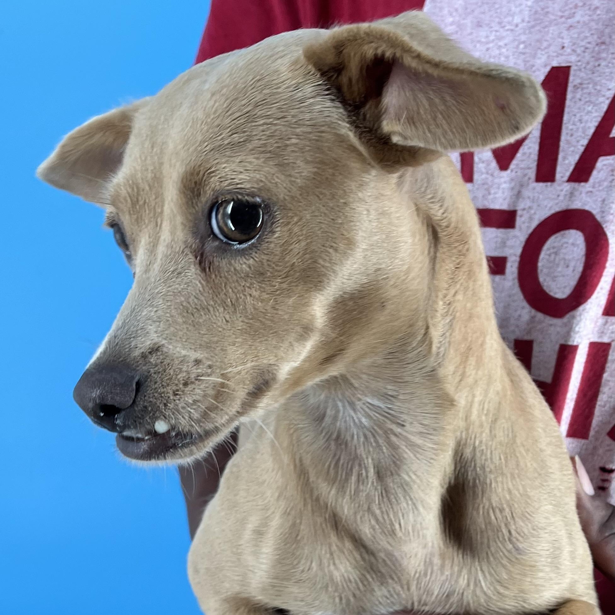 Paige - Local Sept 26-28