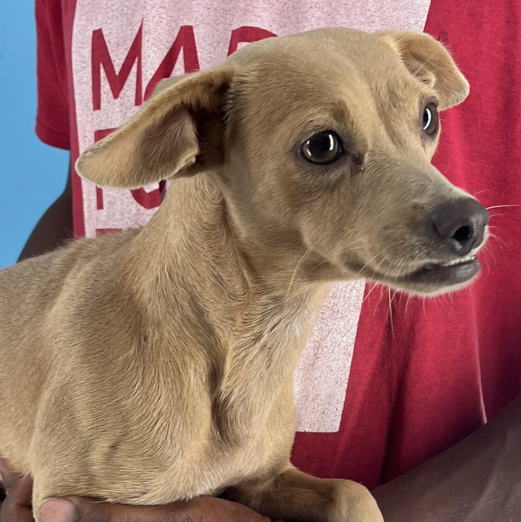 Paige - Local Sept 26-28