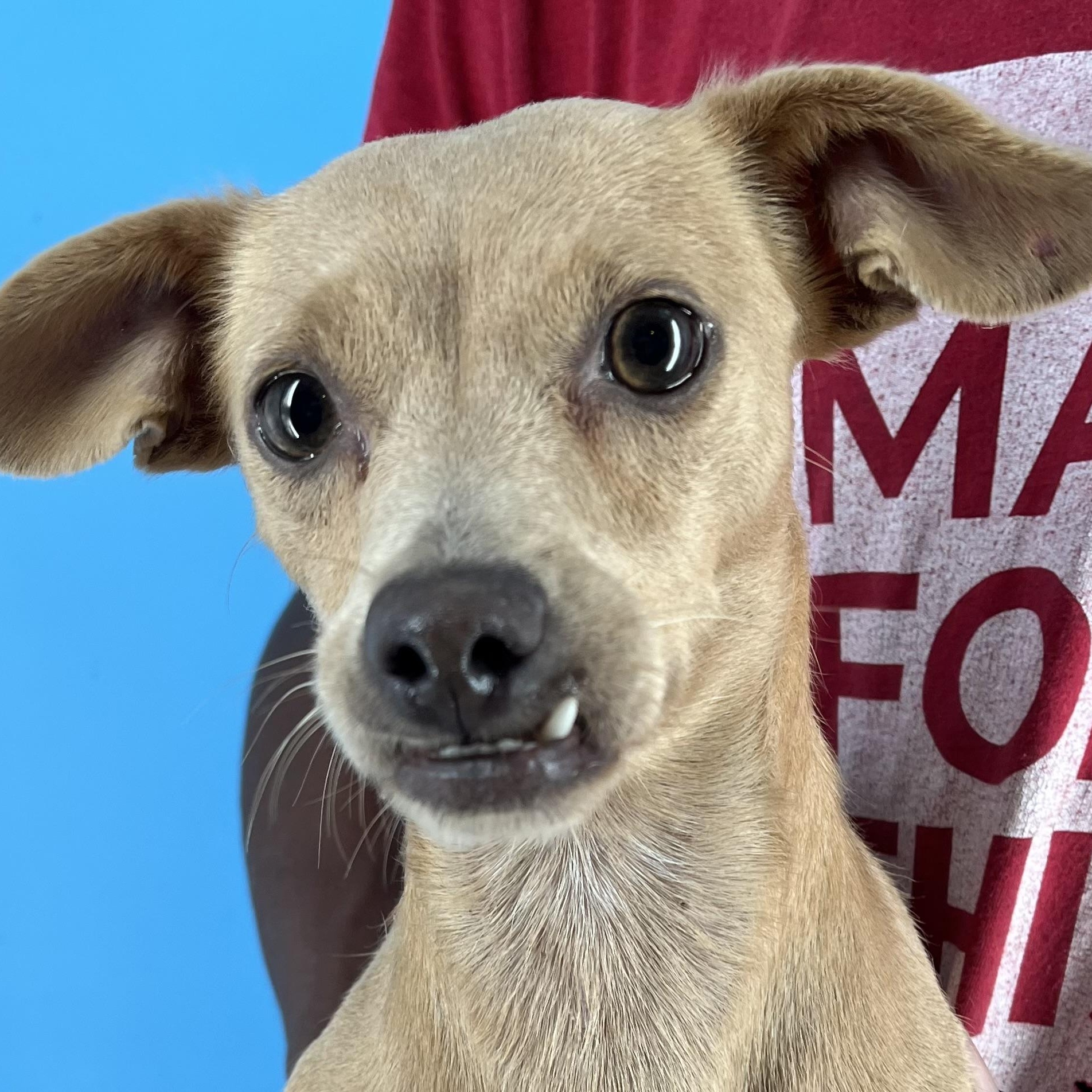 Paige - Local Sept 26-28