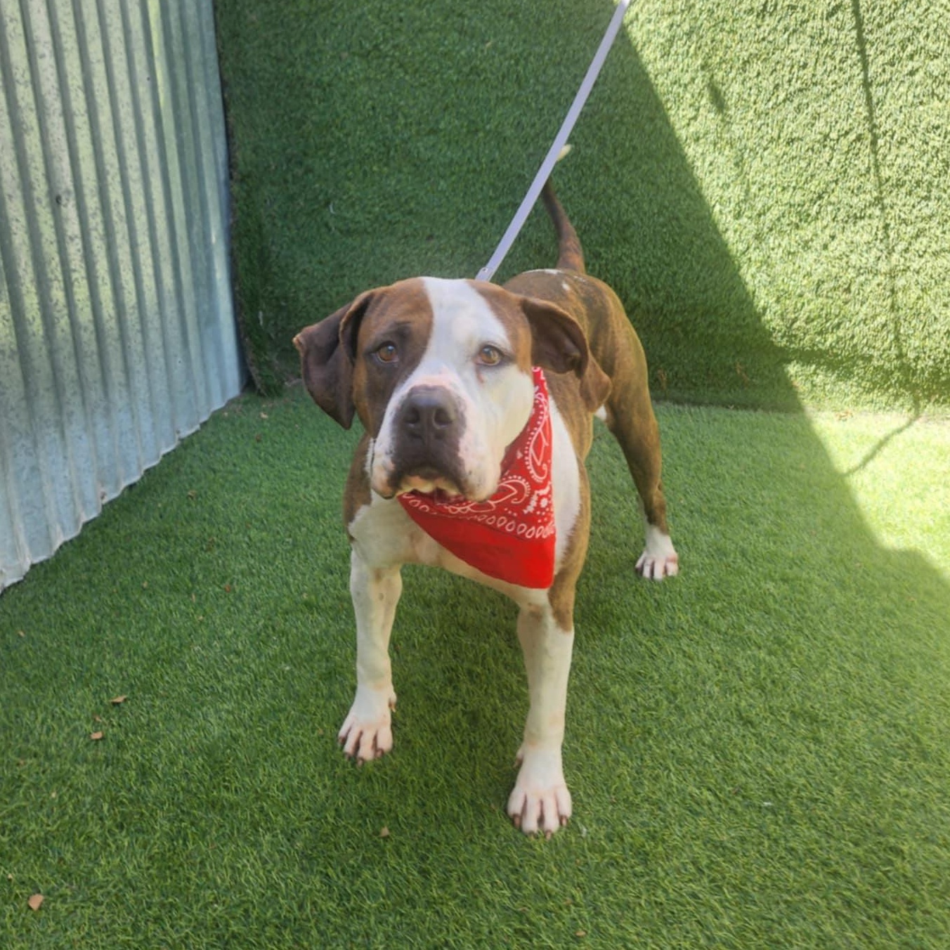 Kiara — thumbnail 4