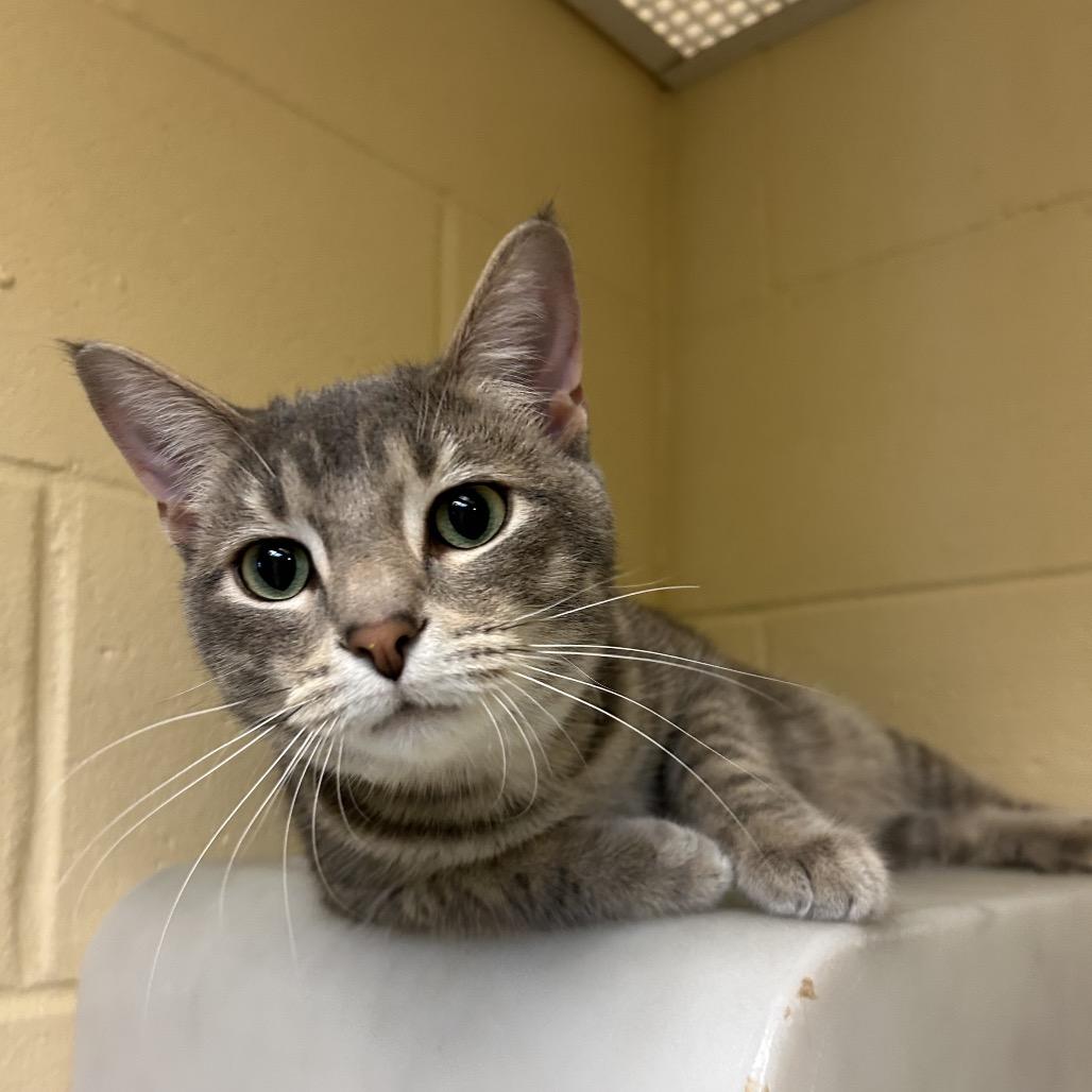 Peter — thumbnail 2