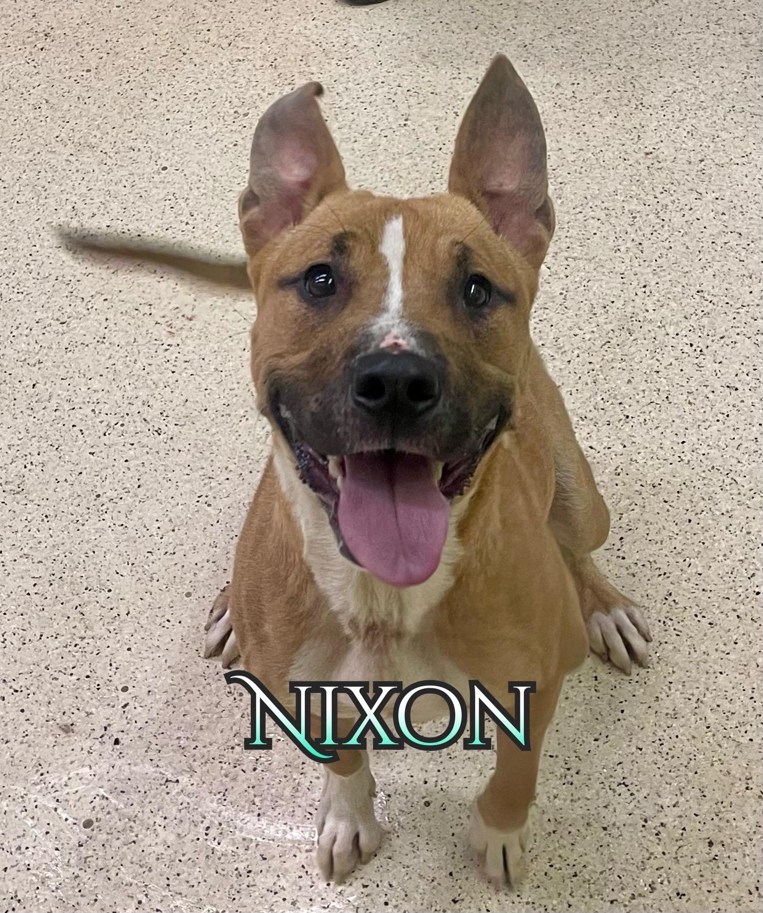 Nixon