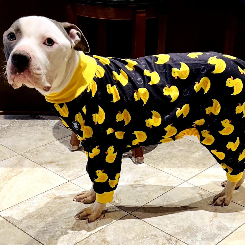 Enlarge Gumbo, a Adoptable Pit Bull Terrier in York, PA image 6/6