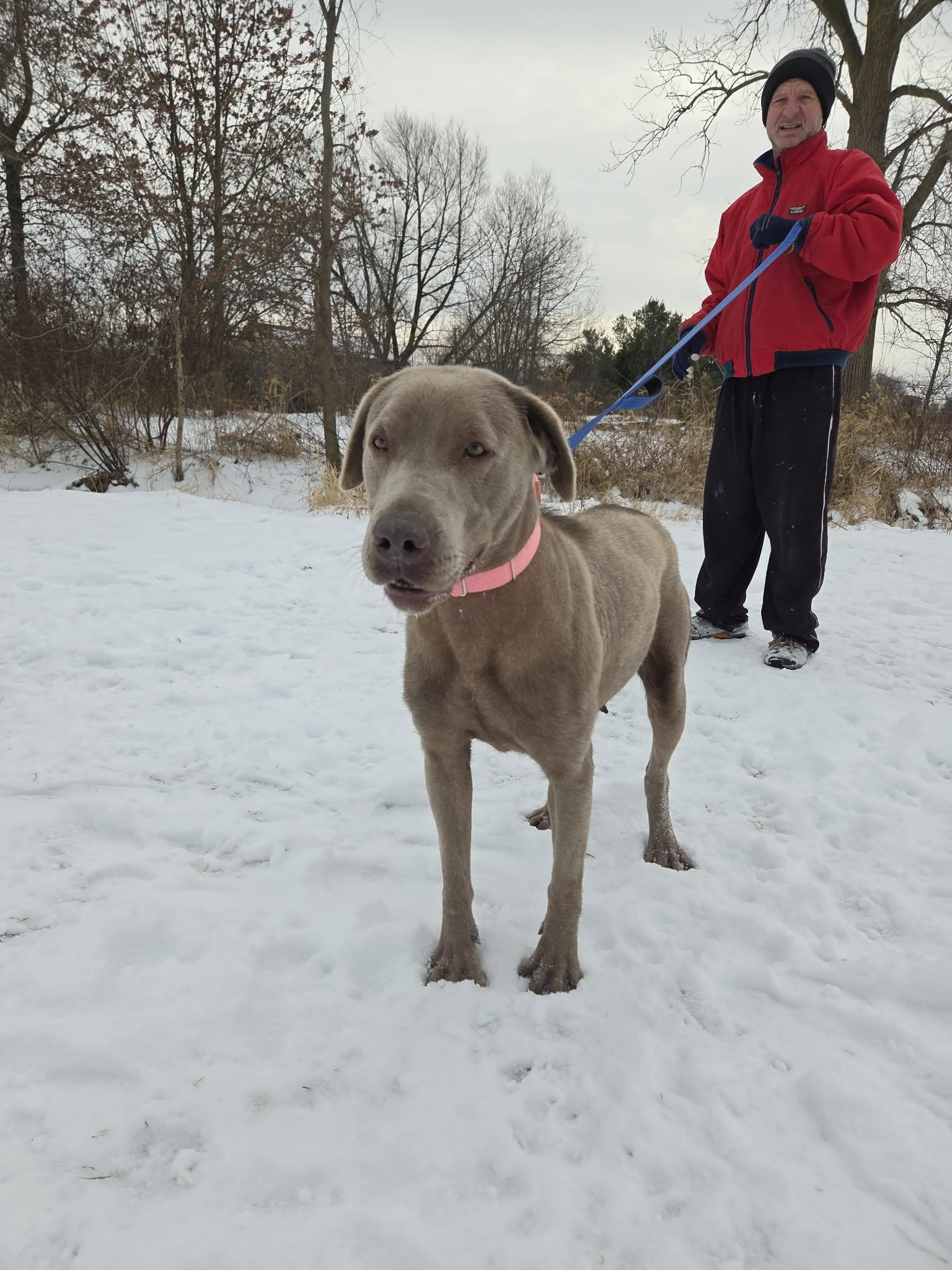 Stellanot Accepting Applications Yet! thumbnail 2