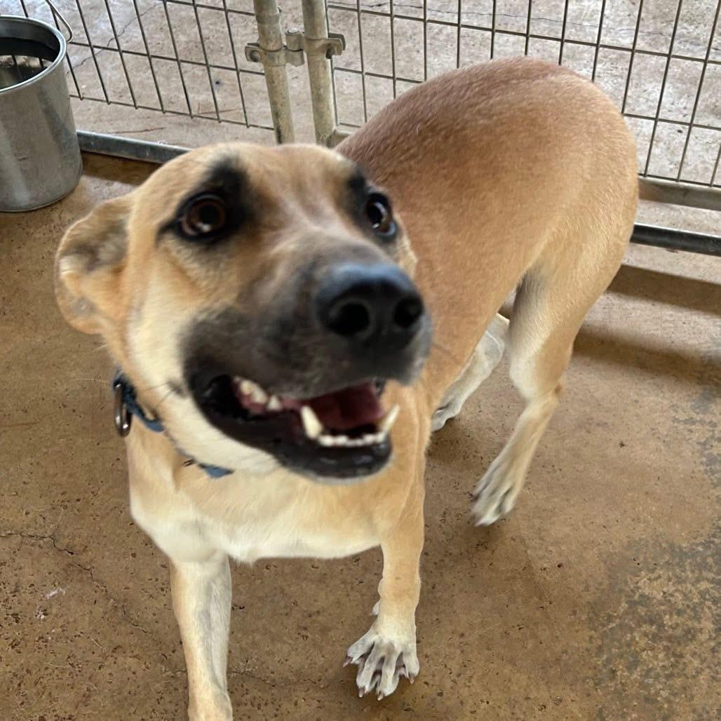Foster MARY!