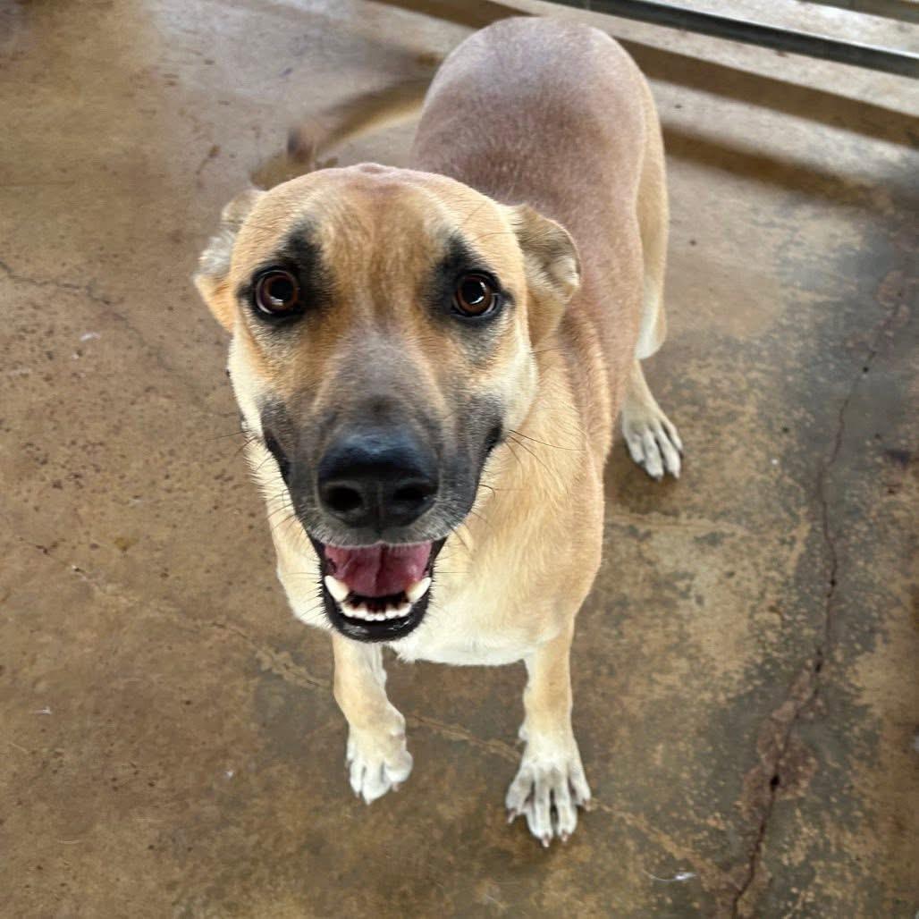 Foster MARY!