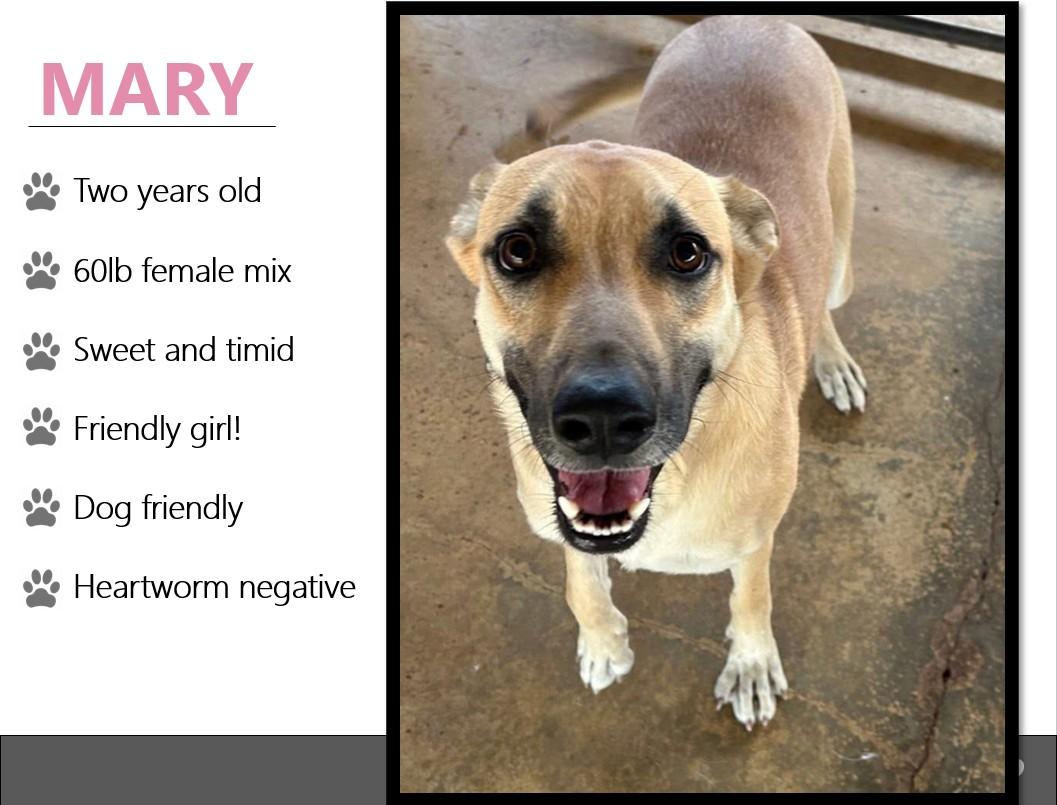 Foster MARY!