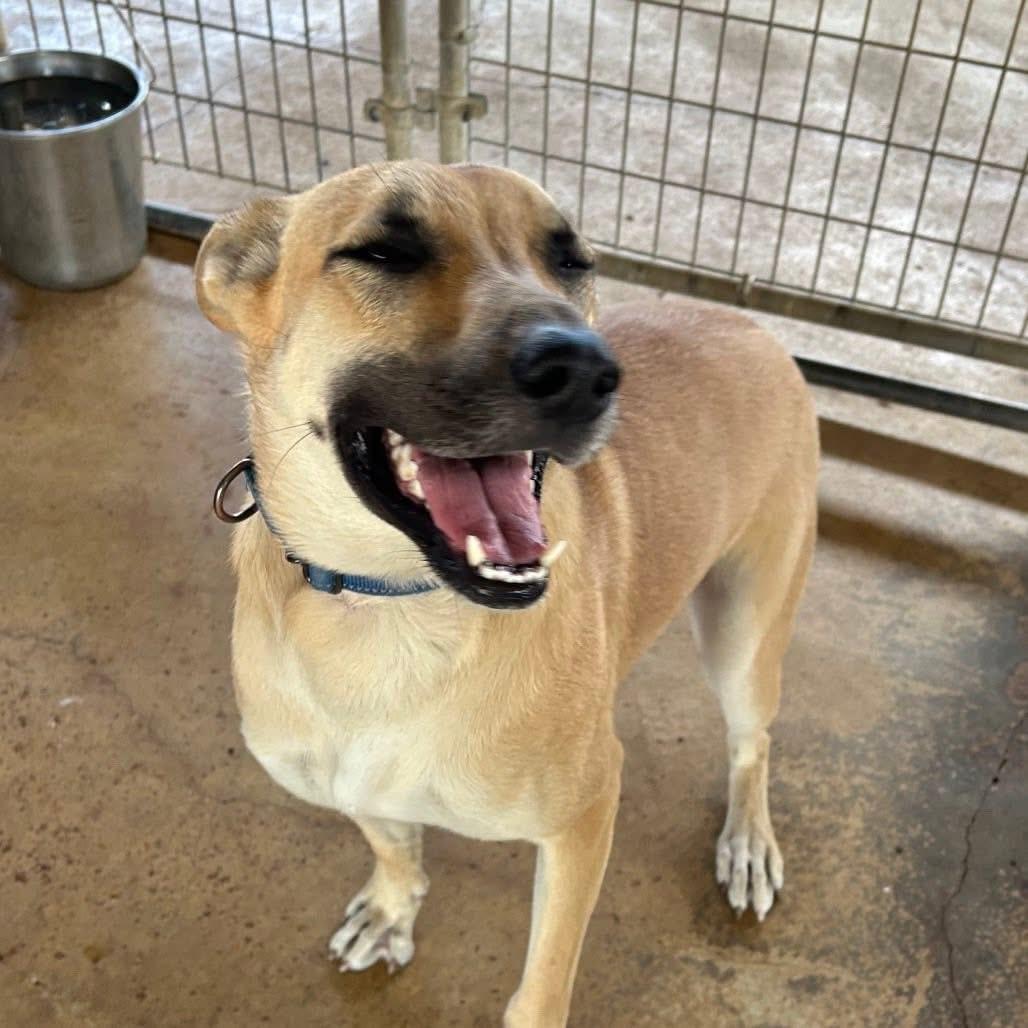 Foster MARY!