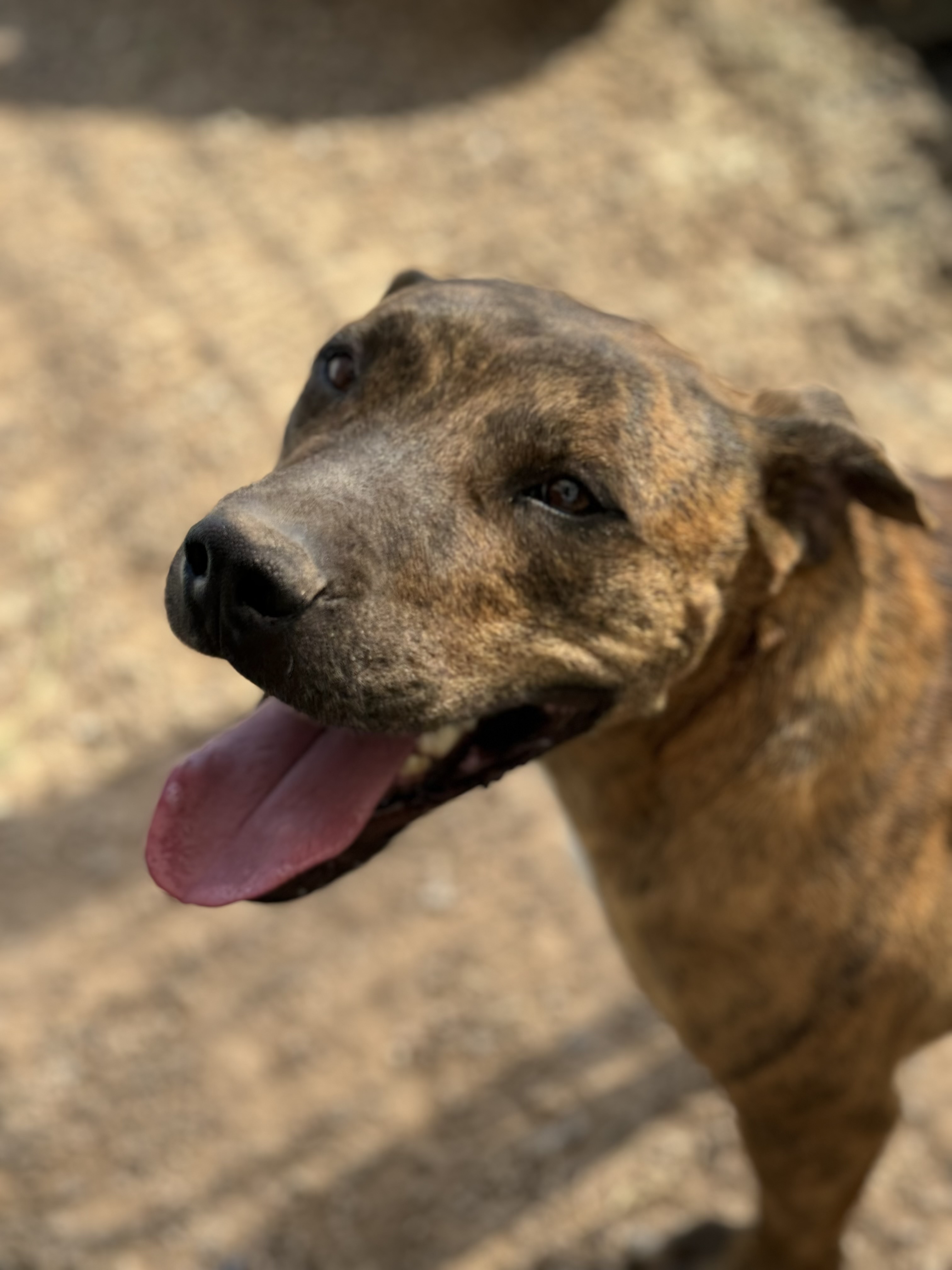 Martin — thumbnail 6