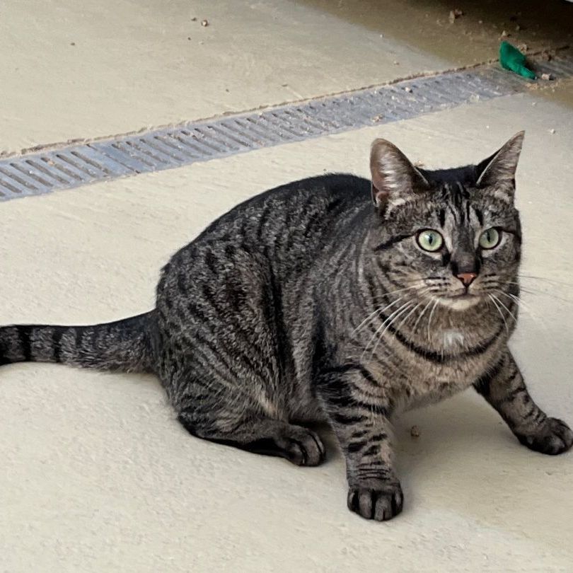 Lakewood thumbnail 4