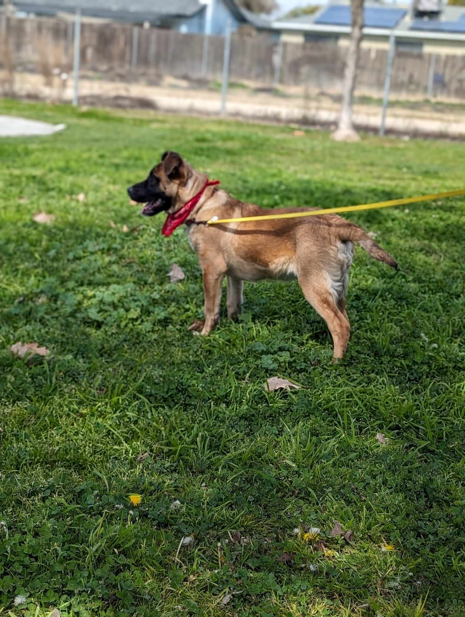 Brody photo 5