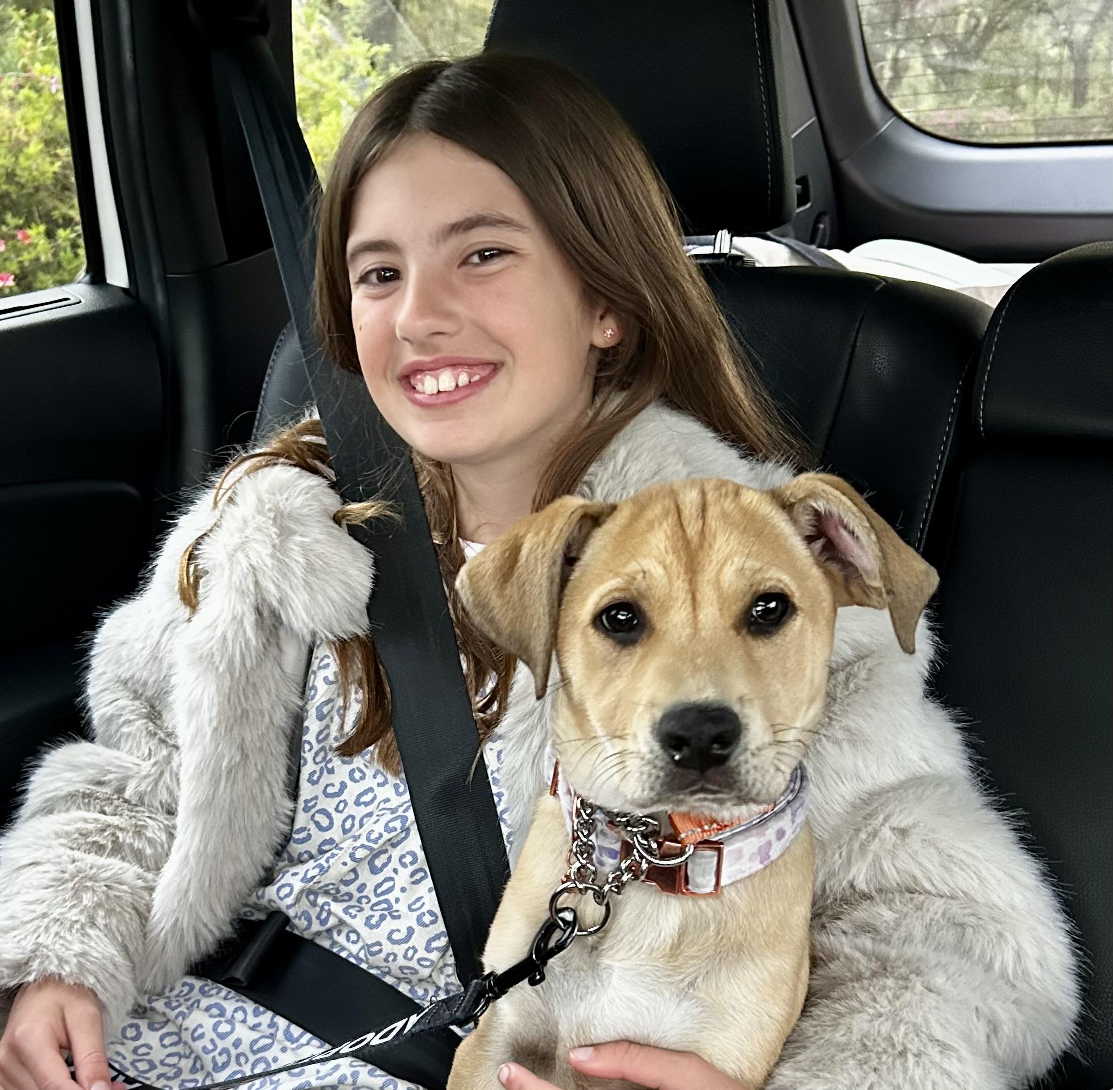 Enlarge Chili, a ADOPTABLE Mixed Breed in Mt Pleasant, SC image 3/6