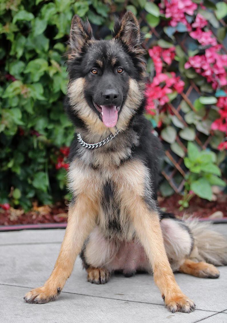Ralphie von Rehau