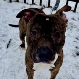 Evan — thumbnail 4