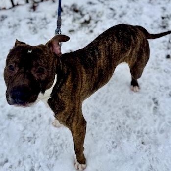 Evan — thumbnail 6