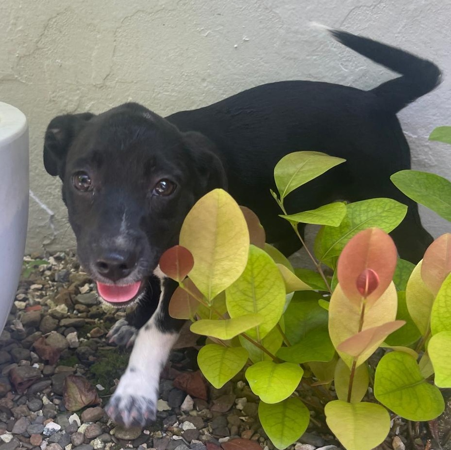 Winter "let's Grow Love thumbnail 2