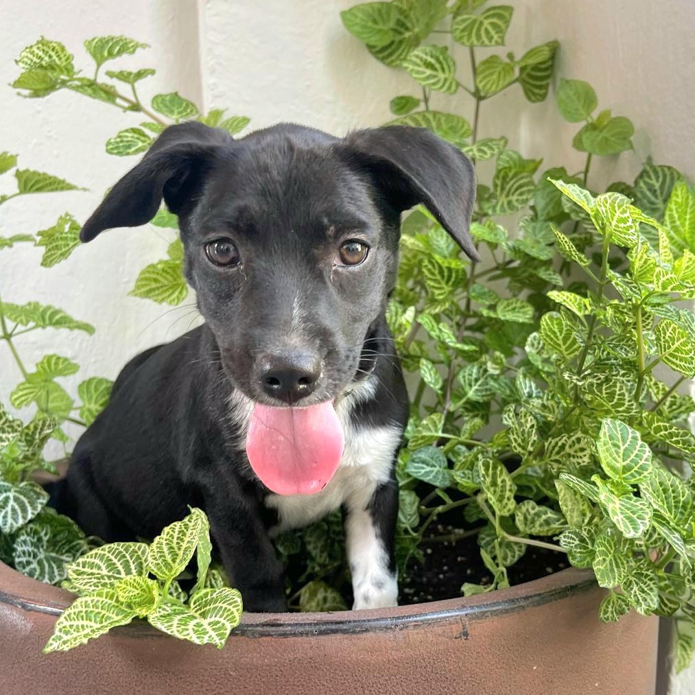 Winter "let's Grow Love