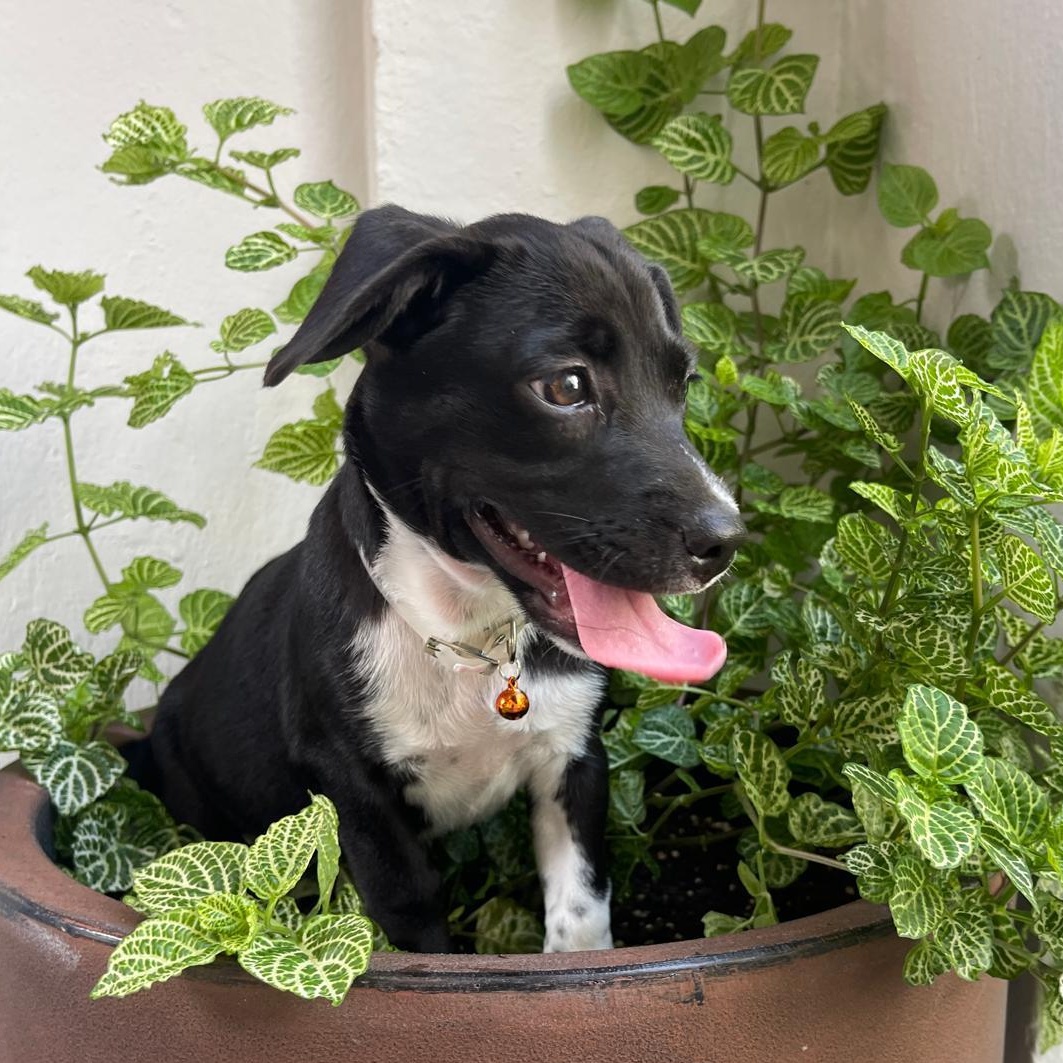 Winter "let's Grow Love thumbnail 5