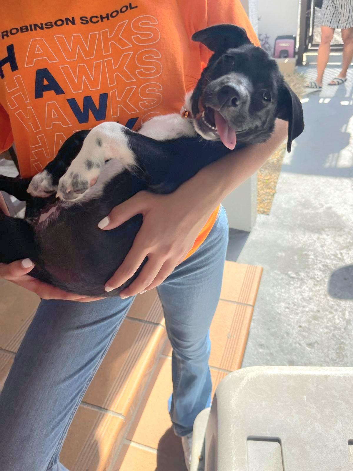 Winter "let's Grow Love thumbnail 6