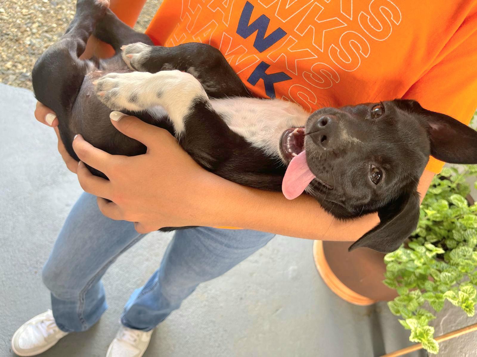 Winter "let's Grow Love thumbnail 7