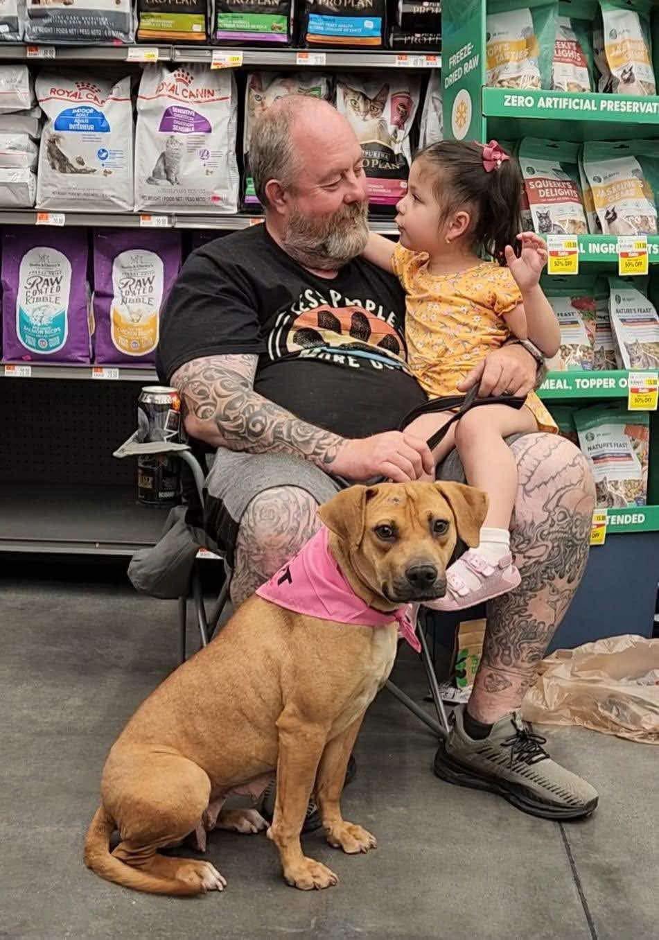 Enlarge Karly, a Adoptable mixed breed in Tucson, AZ image 3/6