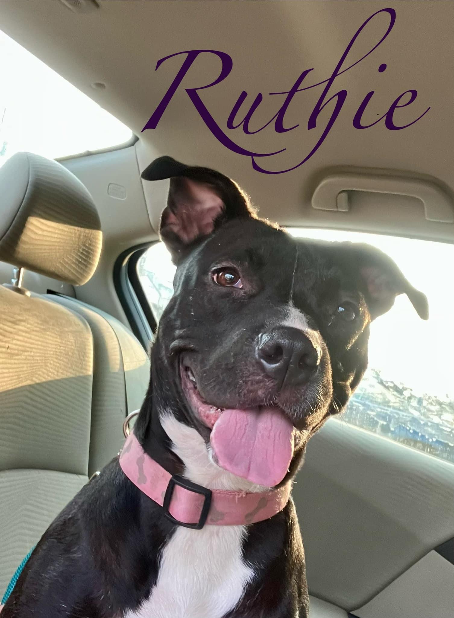 Ruthie, a Adoptable Pit Bull Terrier in Shreveport, LA image 1/4