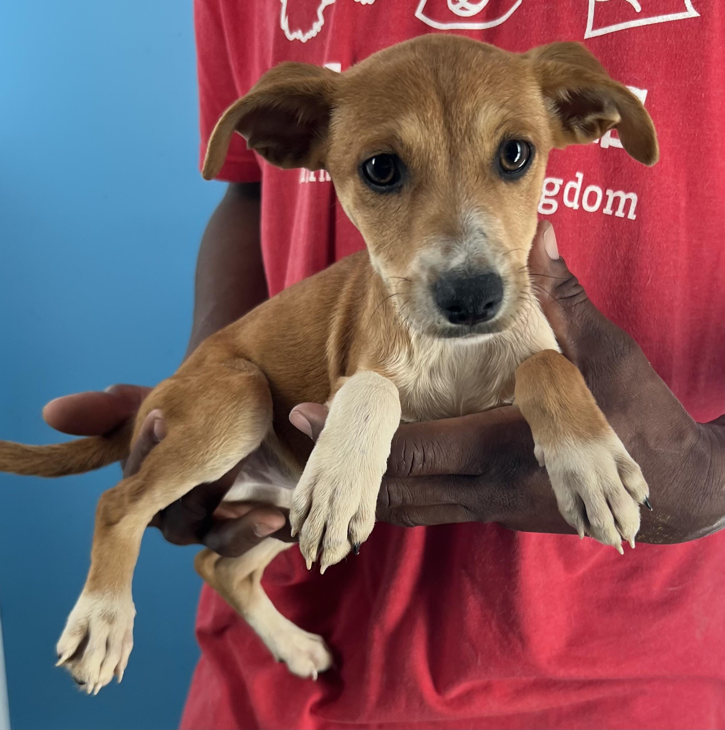 Sissy  Local Oct thumbnail 2