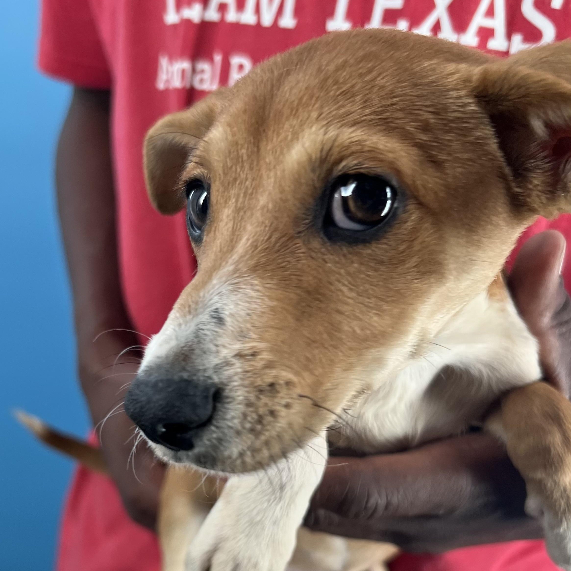 Sissy  Local Oct thumbnail 3