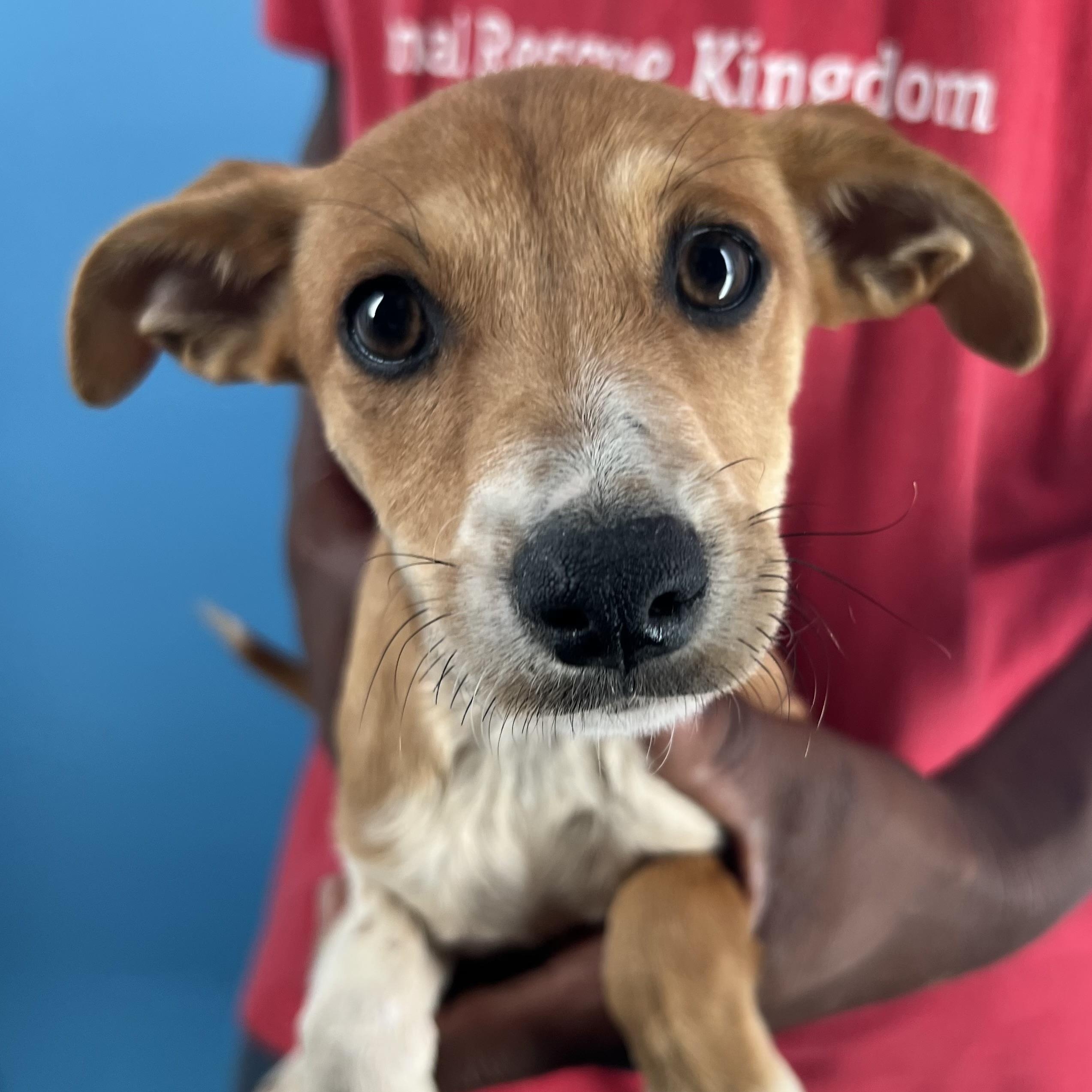 Sissy  Local Oct thumbnail 5