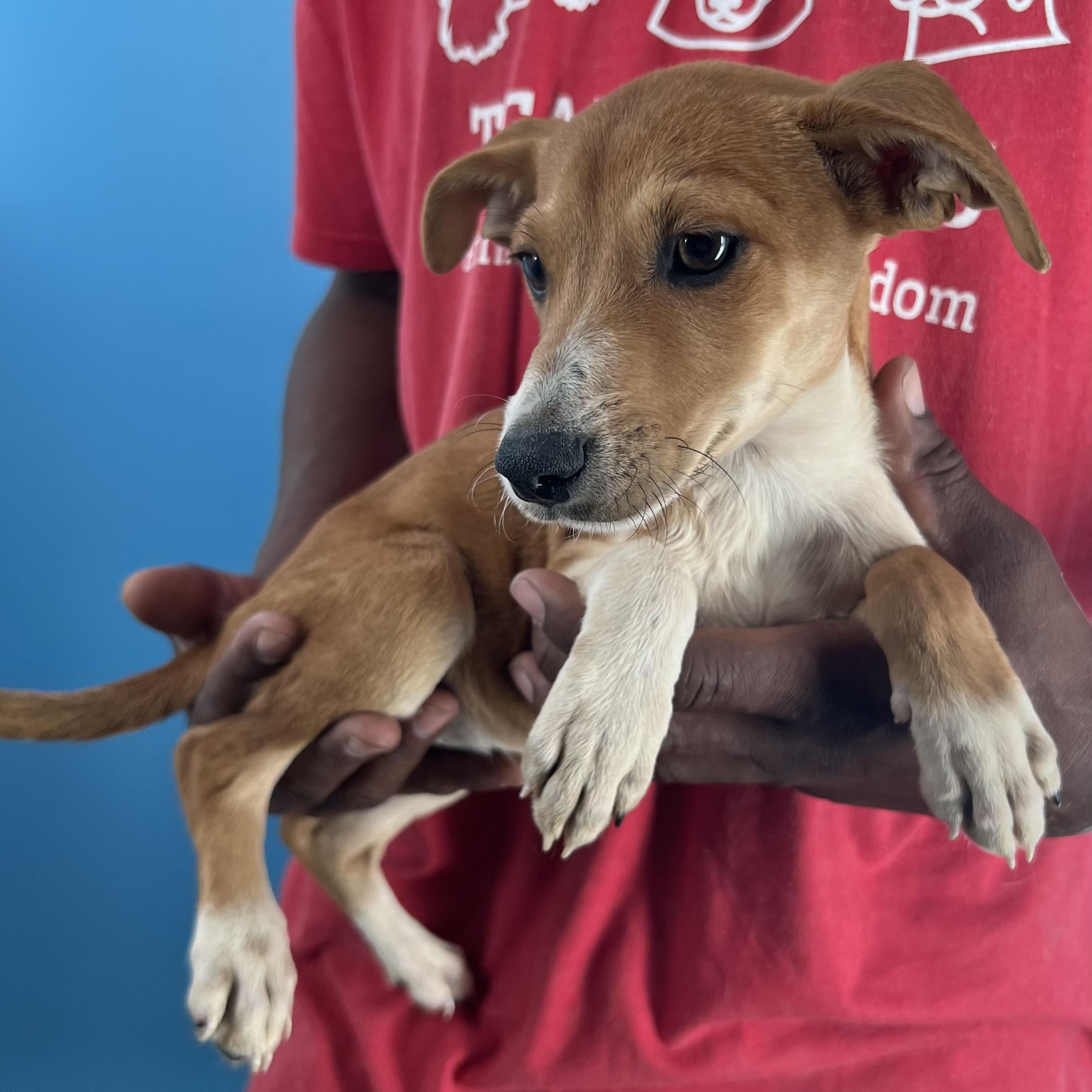 Sissy  Local Oct thumbnail 4