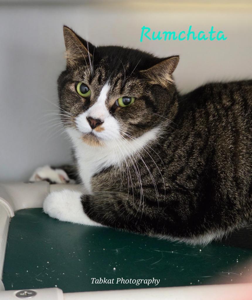 Rumchata thumbnail 2